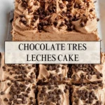 Chocolate Tres Leches Cake - Pin 1
