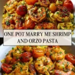 One Pot Marry Me Shrimp and Orzo Pasta - Pin 1