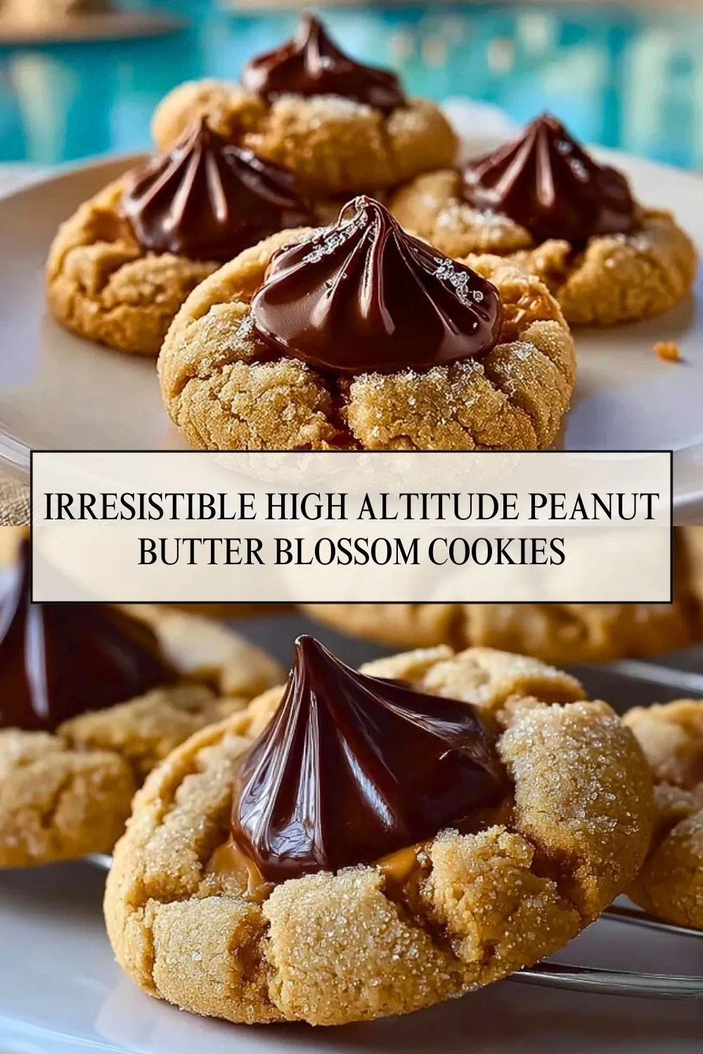 Irresistible High Altitude Peanut Butter Blossom Cookies - Pin 1